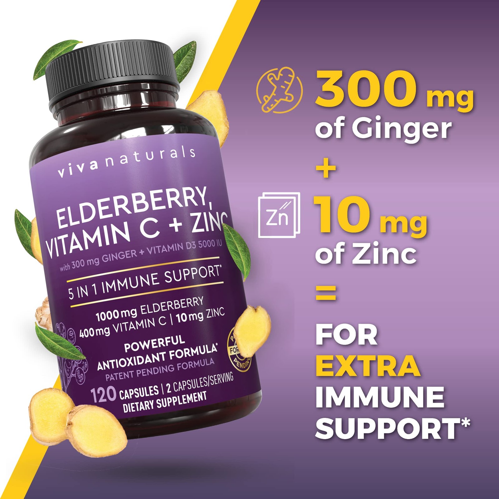 Viva Naturals Elderberry with 120 Count (Pack of 1), 5in1 120ct