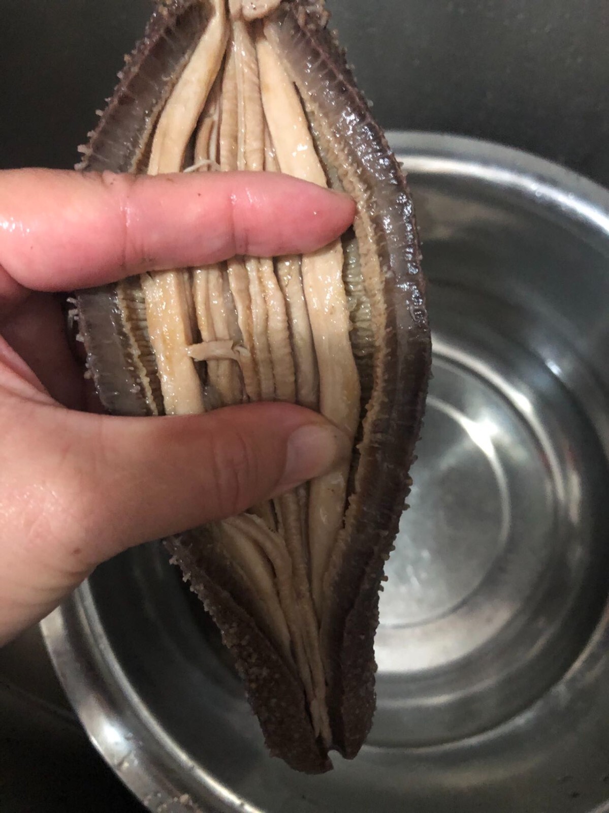 阿拉斯加红参(海参)Super 3A natural Sun Dried ALASKA Red Sea Cucumber(Size XL)1LB/Bag
