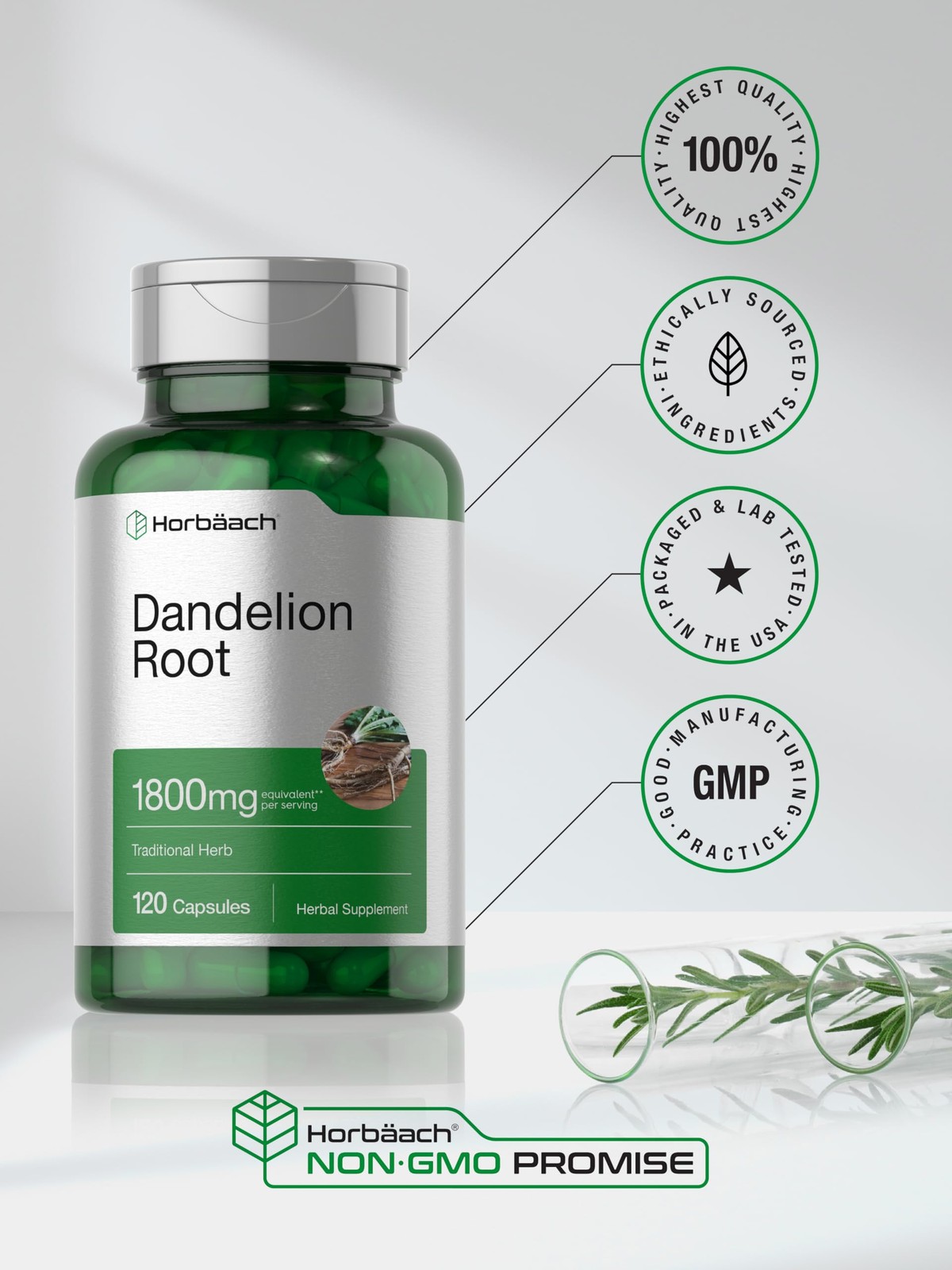 Horbäach Dandelion Root Supplement | 120 Capsules | 120 Count (Pack of 1)