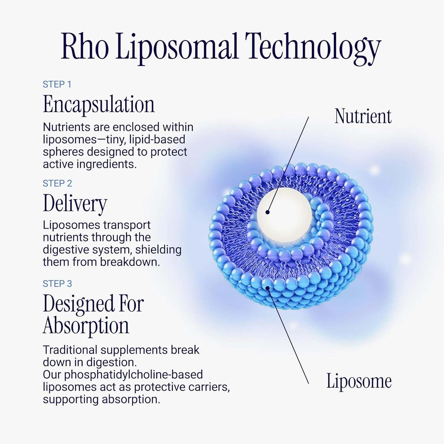 Rho Liposomal NAD+ Superior Absorption Liquid 4oz 30 Servings Exp 08/2027