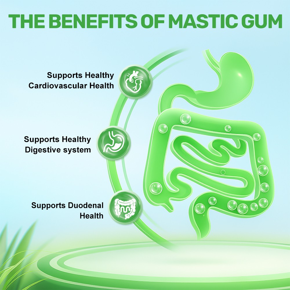 MENXI Mastic Gum 1000mg Vegan Capsules | Non-GMO & Gluten Free