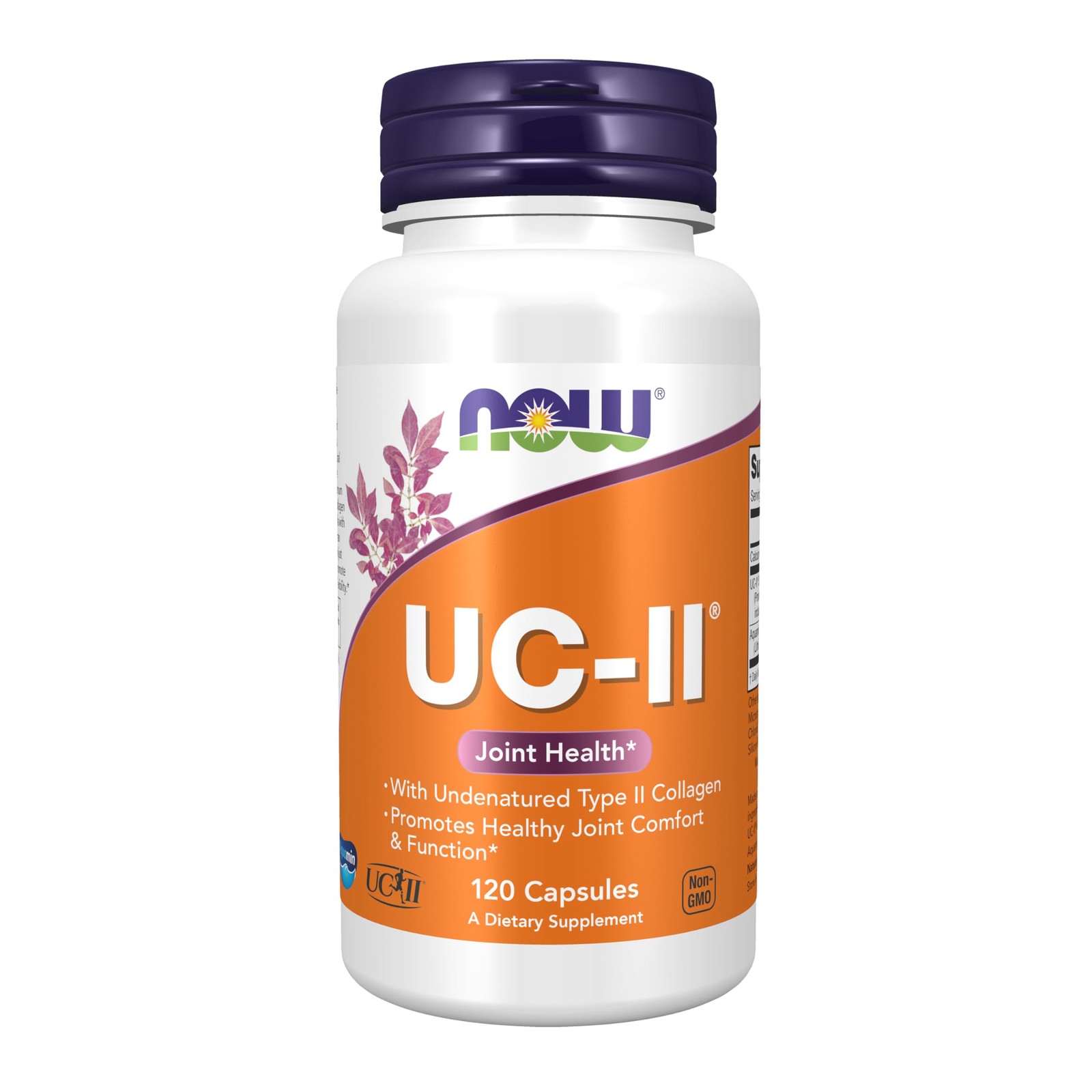 NOW Foods Supplements, UC-II Type 120 Count (Pack of 1), Off White W/Speckles