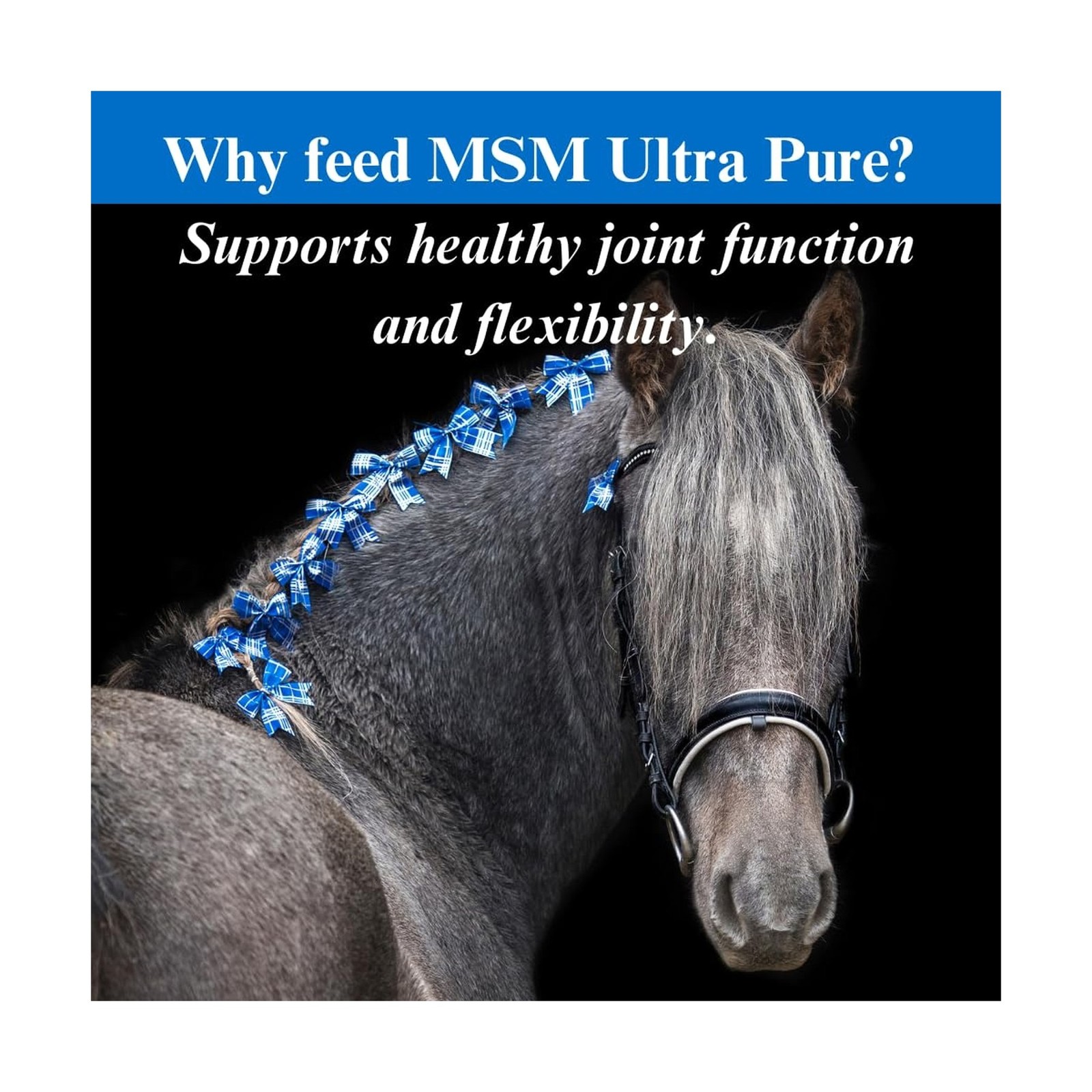 SU-PER MSM Ultra Pure Horse Joint Supplement – Helps Maintain Joint Mobility …