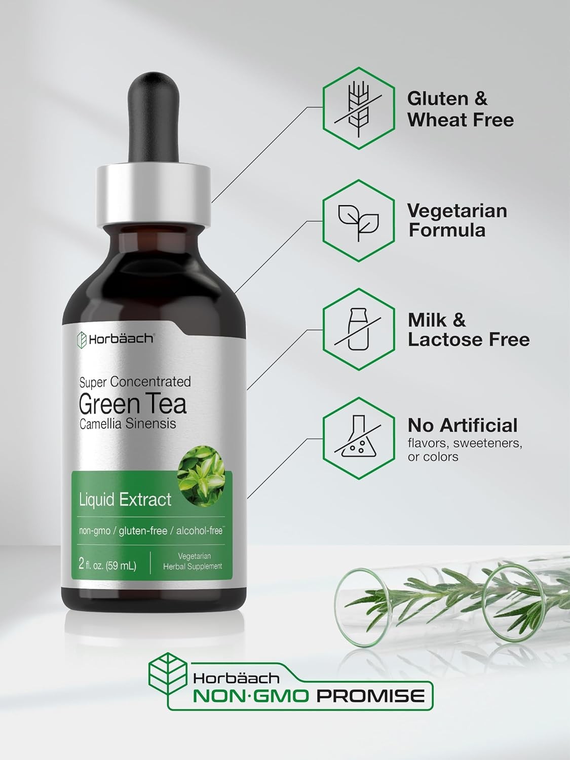 Horbäach Green Tea Extract Liquid Drops | 2 Fl Oz | Herbal Tincture | Alcohol Fr
