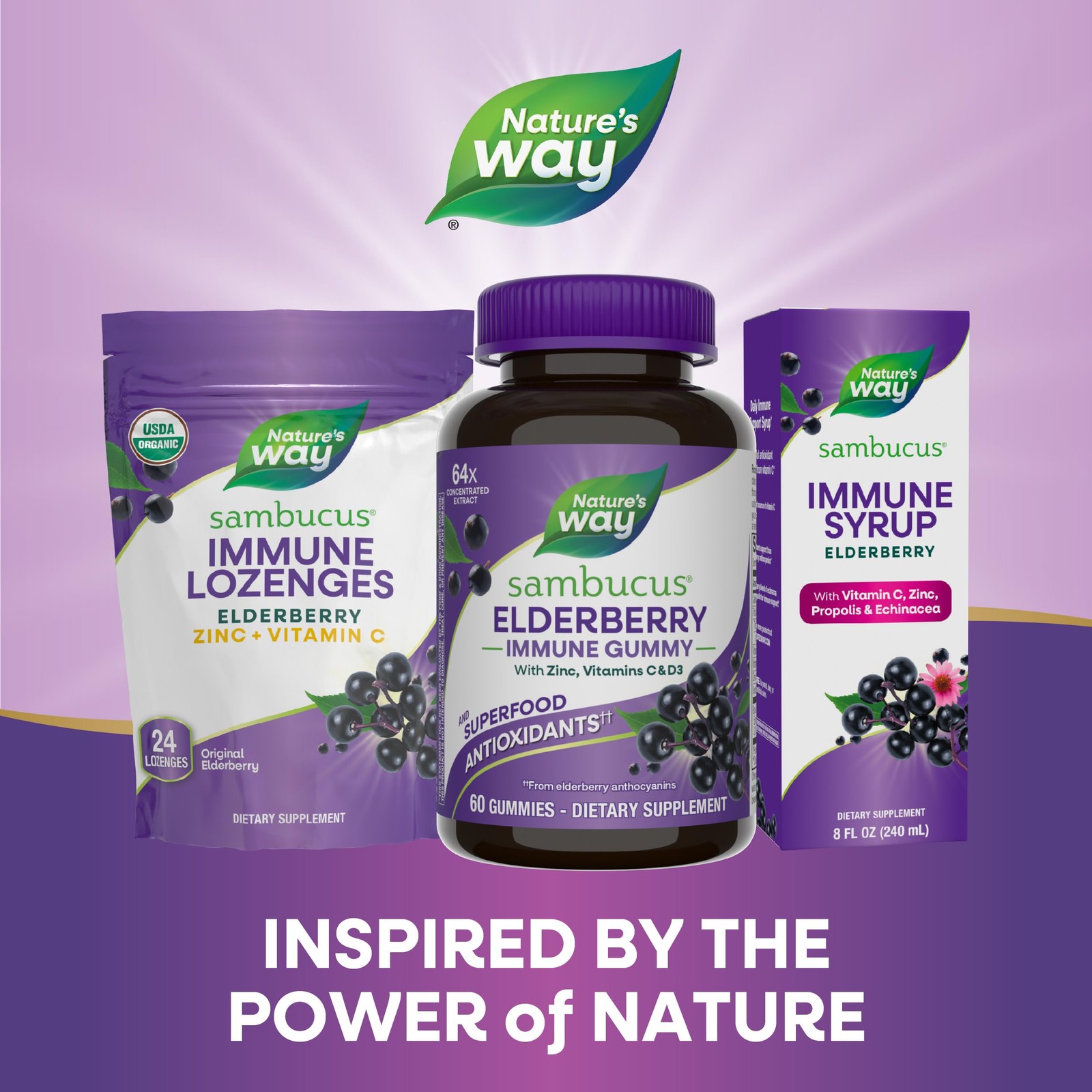 Nature’s Way Sambucus Elderberry Immune Support Gummies 60 Count (Pack of 3)