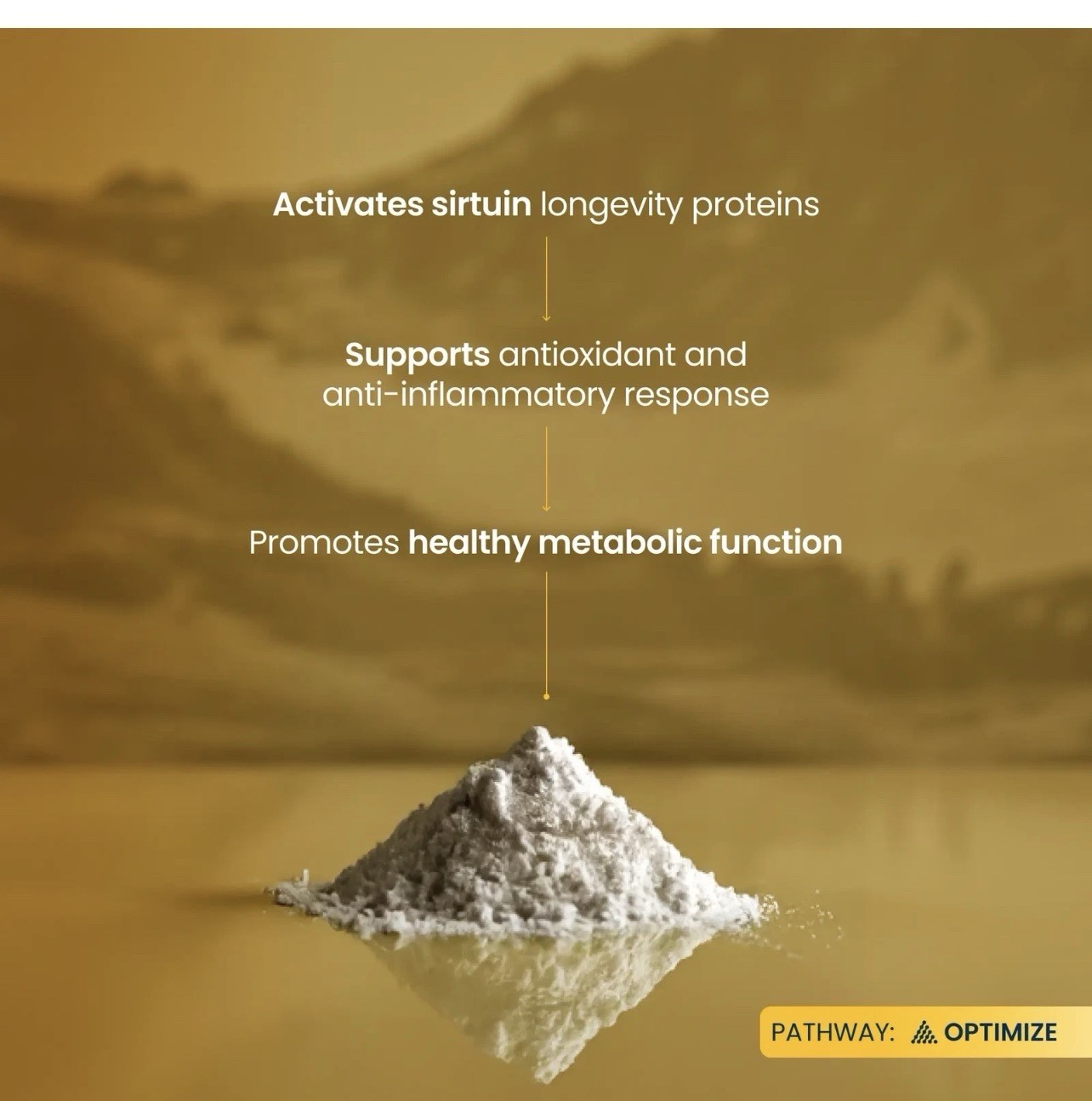 Trans-Resveratrol Pure Powder 100G by Renue by Science — Sirtuin Activation for