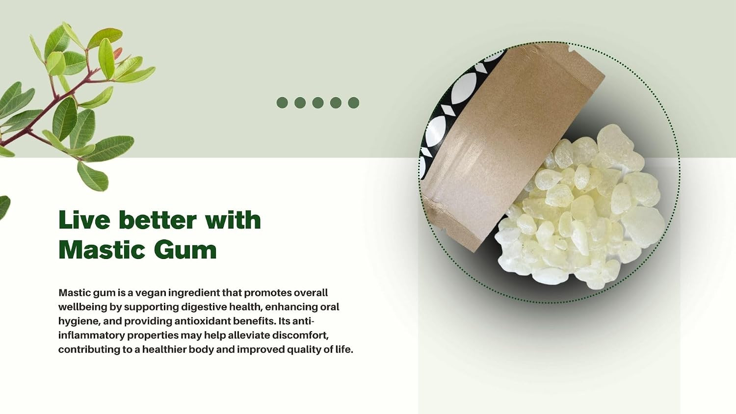 Chios Mastiha Tears Gum Greek 100% Natural Mastic Packs from Mastic Growers