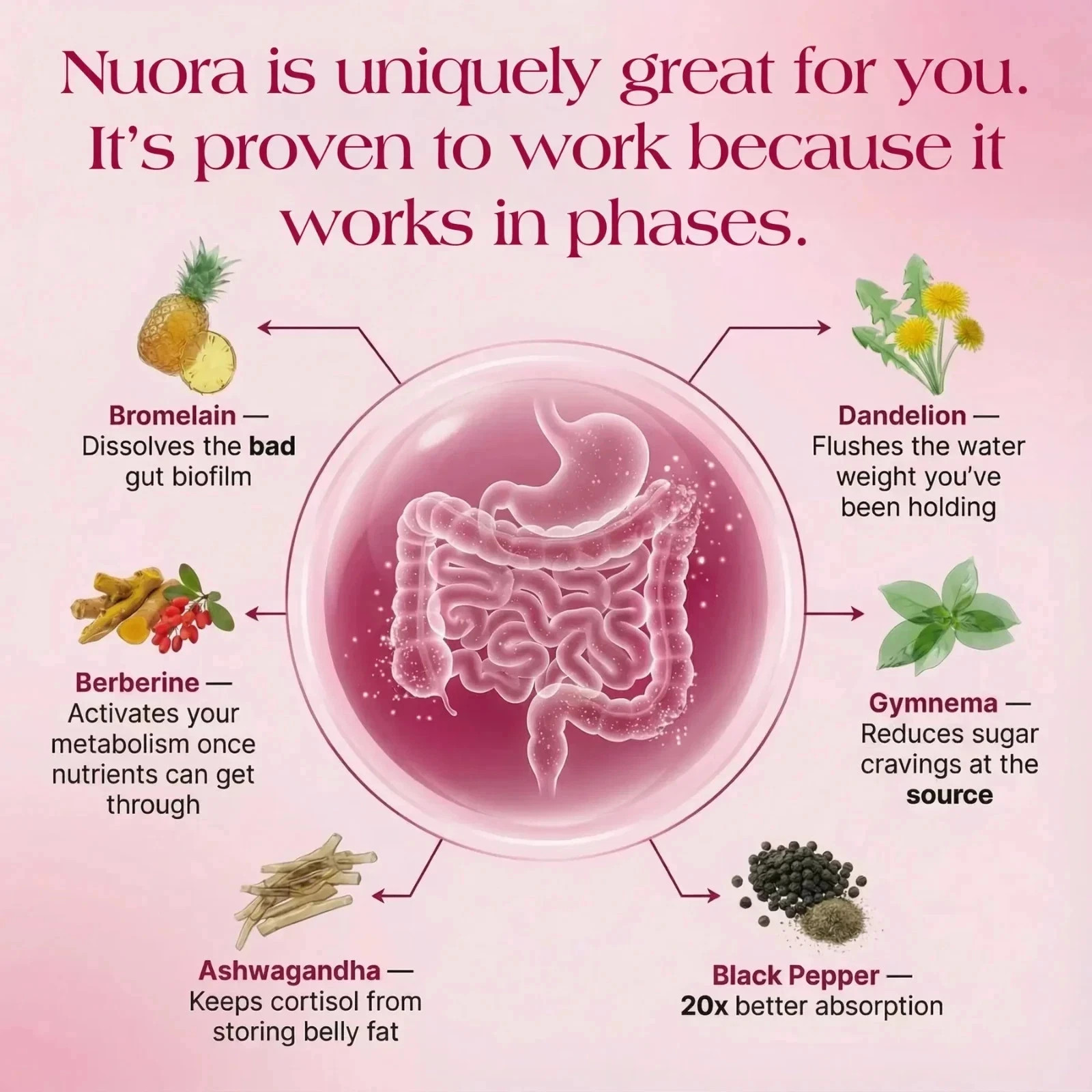 Nuora™ Gut Biofilm Ritual, Women’s Complete Balance 60 capsules Pack of 2
