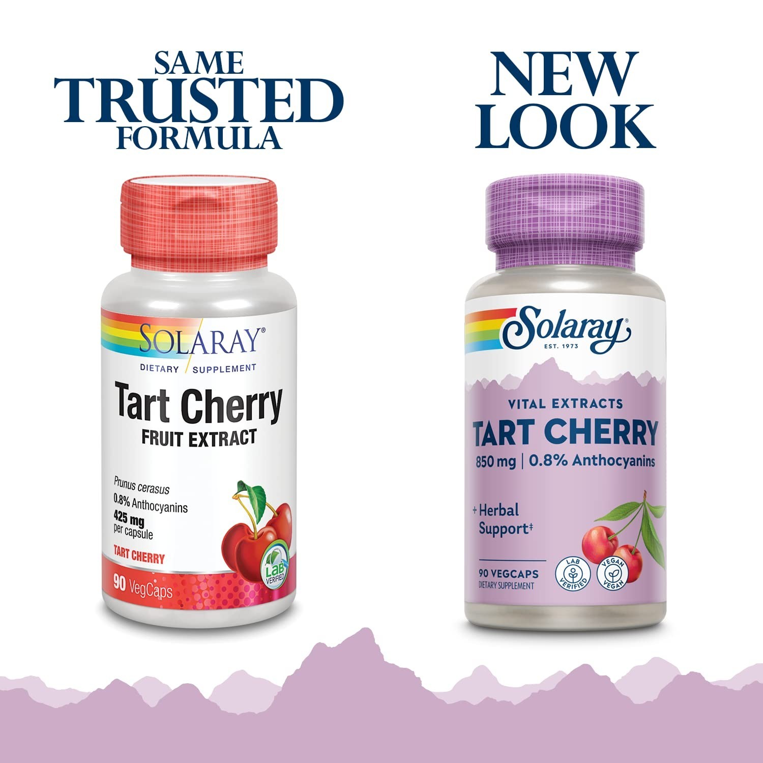 Tart Cherry Fruit Extract 850mg – 90 Vegan Capsules for Joint Health & Sleep Aid