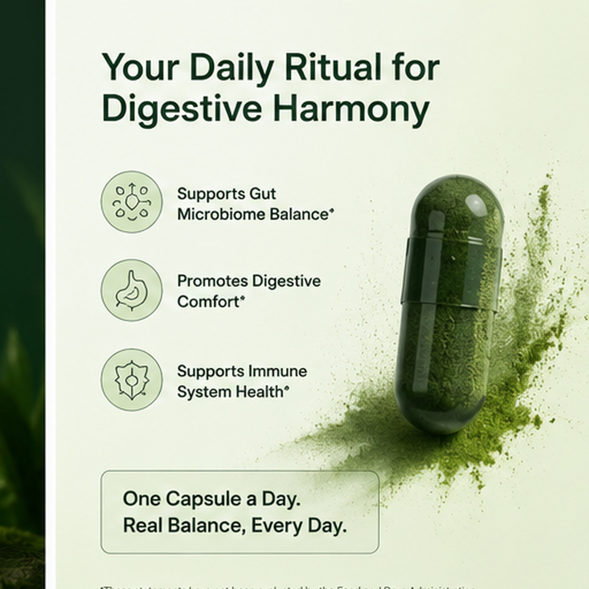 Seed DS-01 Daily Synbiotic – Digestive & Gut Health – 60ct (30-Day)
