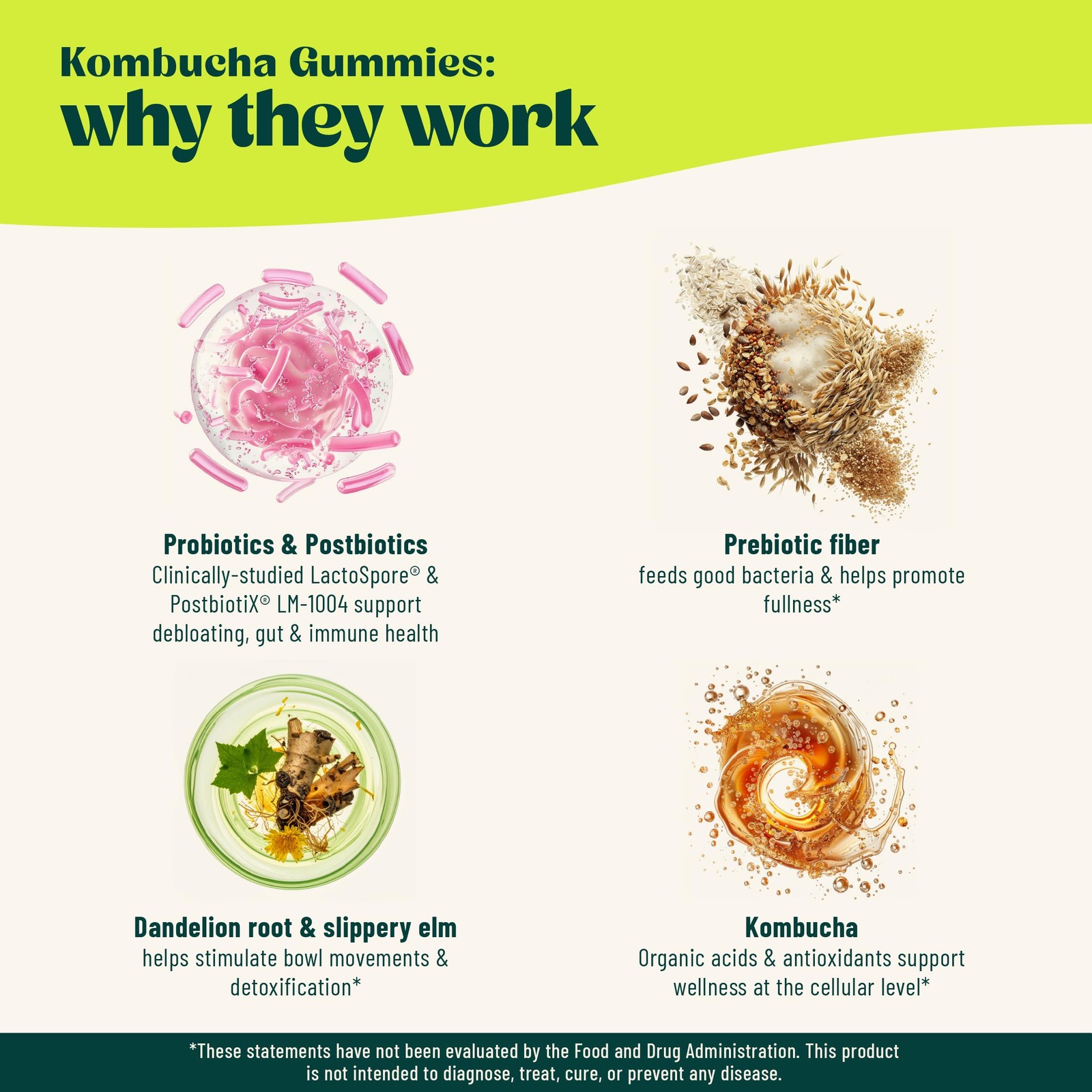 Probiotic Kombucha Gummy – Prebiotics, Probiotics, Postbiotics, Fiber Supplement