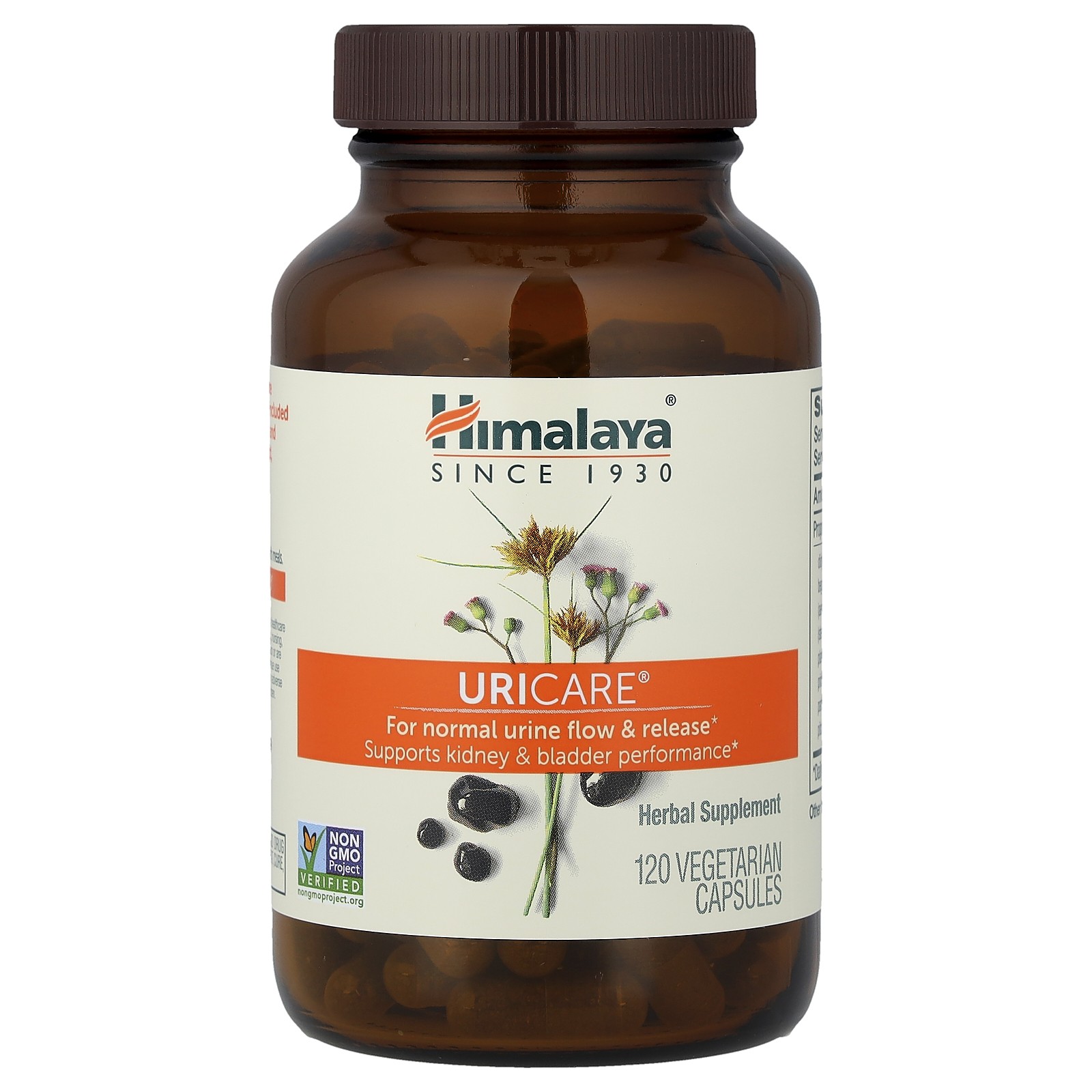 UriCare, 120 Vegetarian Capsules