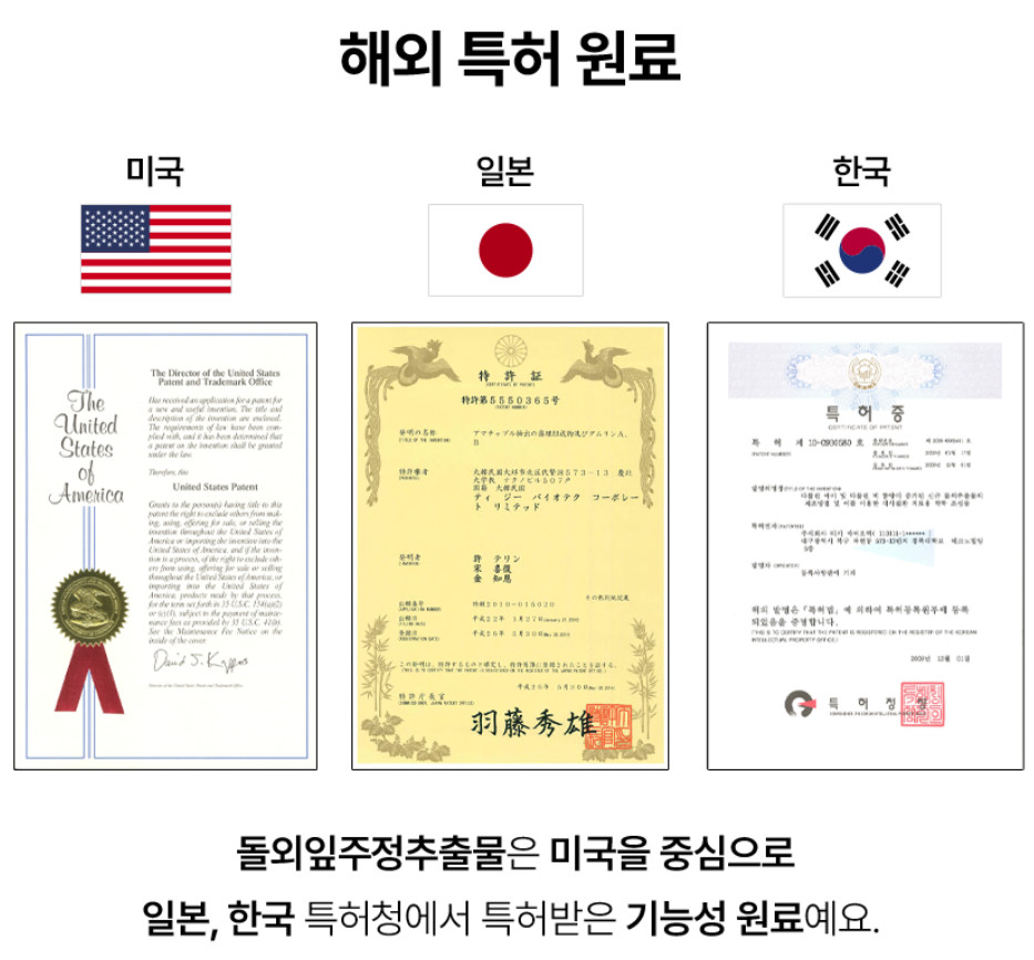 Foodology Choleology Burningology D-Day 3.8g*5 packs (5 days) K-Beauty