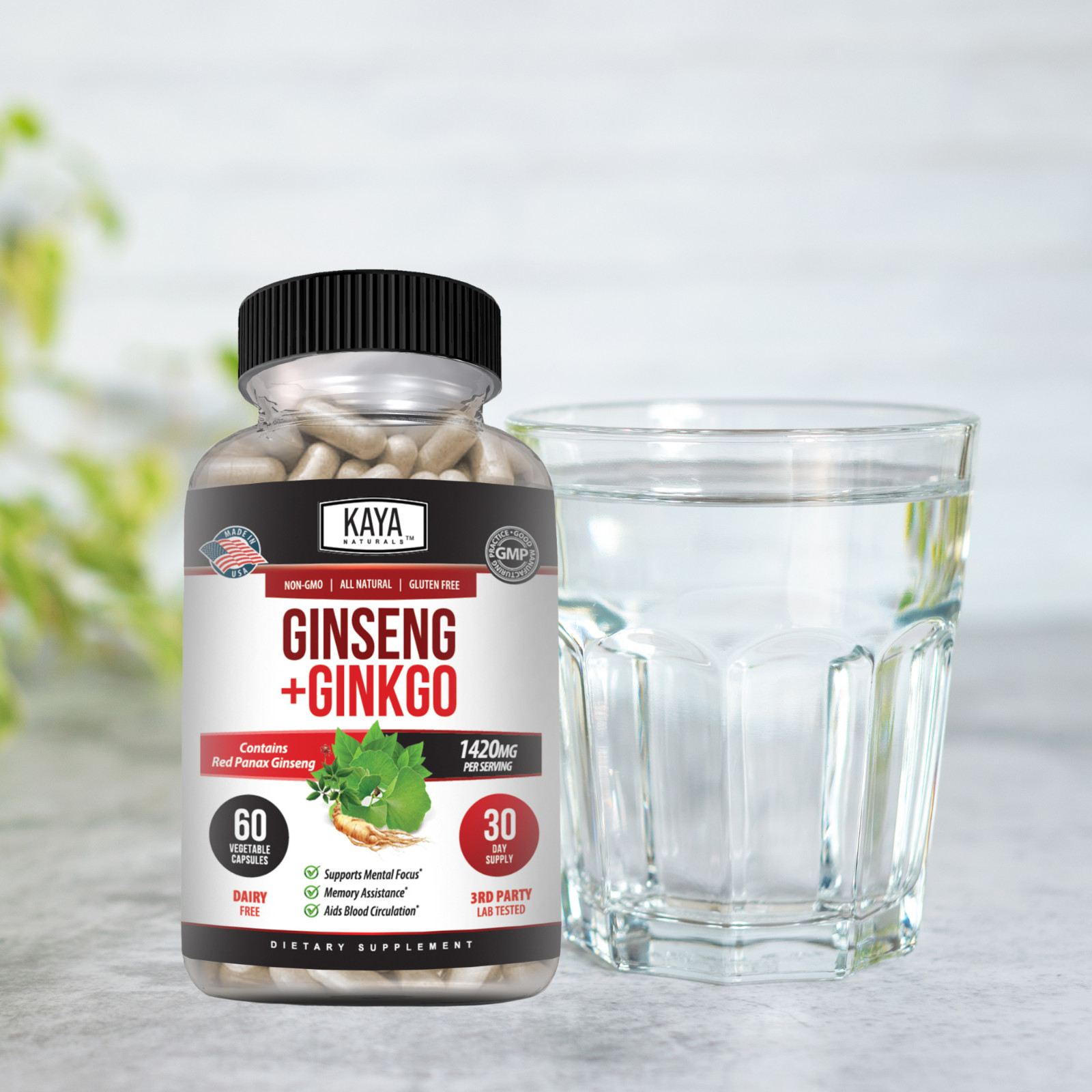 (2 Pack) Ginseng + Ginkgo for Brain Function, Blood Flow, Anti Inflammatory