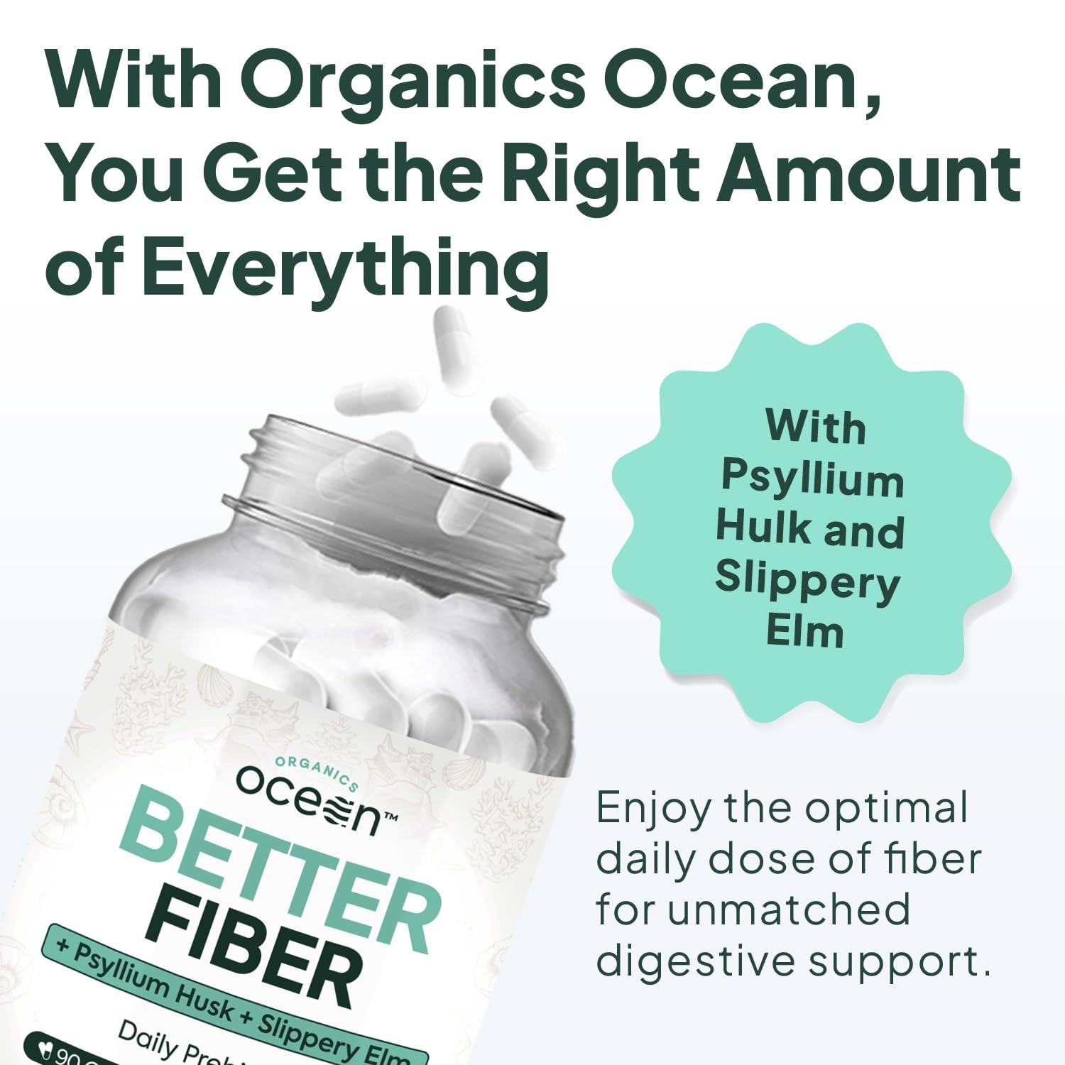 Organics Ocean Better Fiber Daily Fiber Supplement Soften Stool for Effortl…
