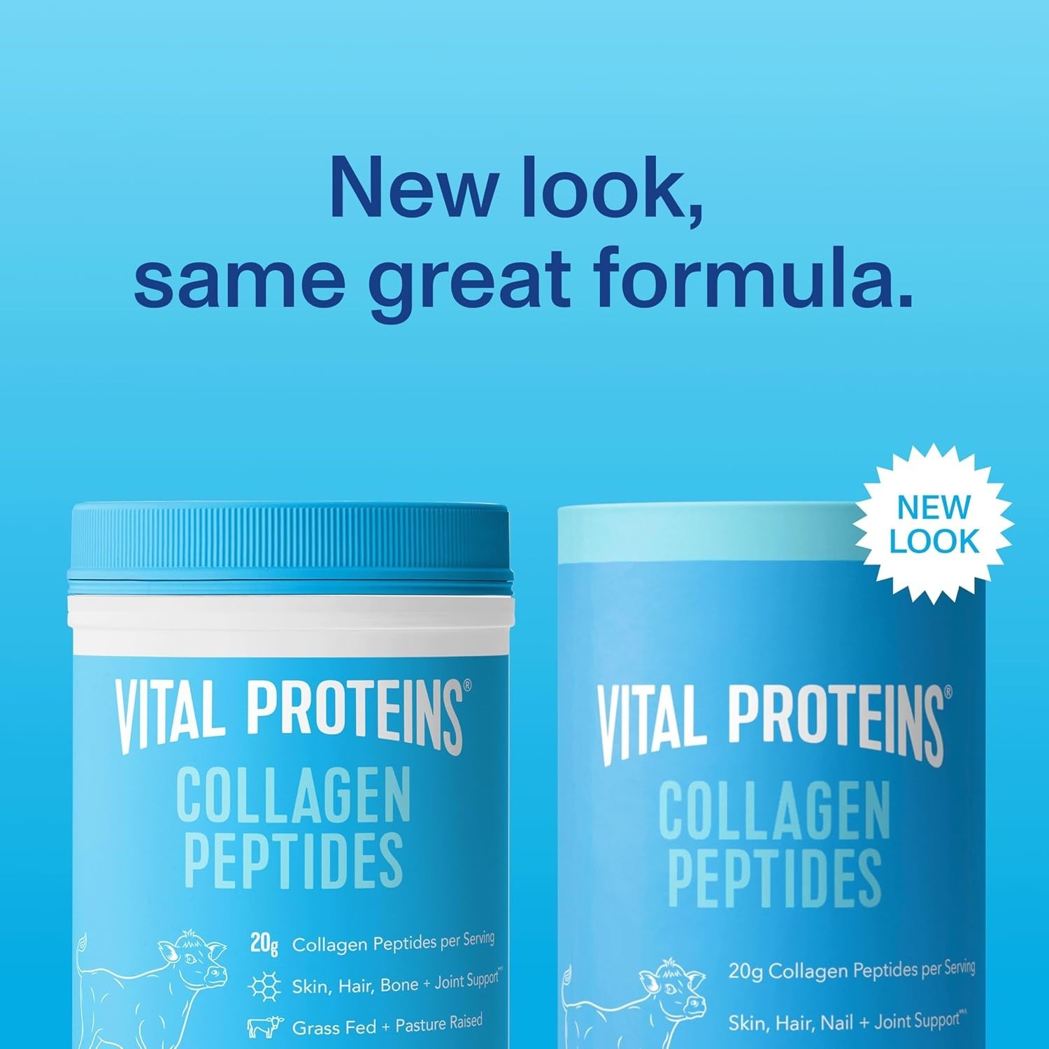 Hydrolyzed Collagen Peptides Powder – Supports Skin, Hair, Nails & Joints