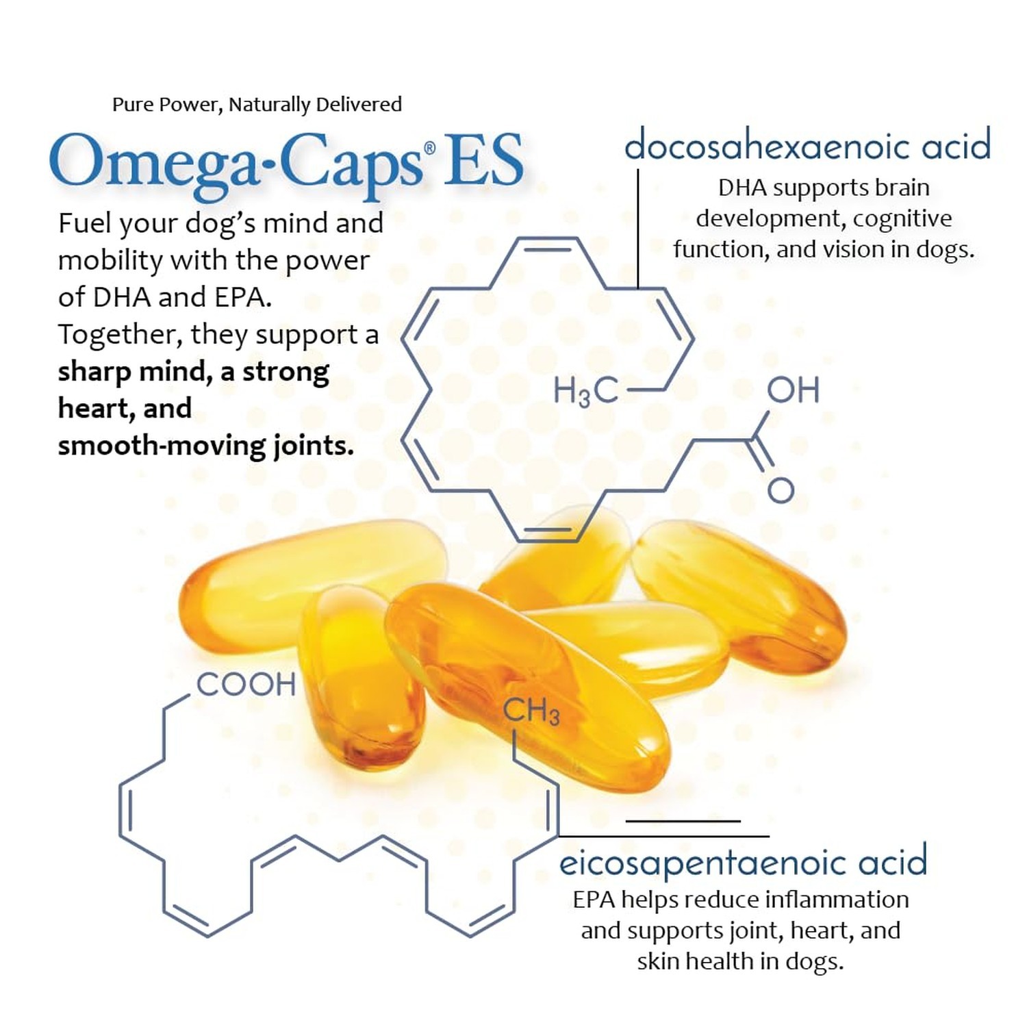Omega-Caps ES for Large & Giant Dogs (250 Caps) 250 soft gels