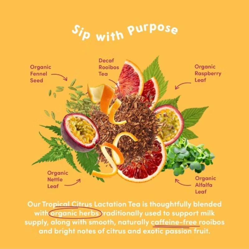 Lactation Blend Tropical Citrus Bagged Teas – 28 Servings