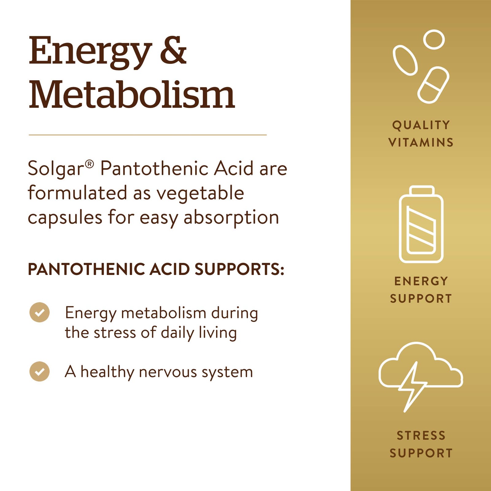 Solgar Pantothenic Acid 550 mg 100 Count (Pack of 1), Standard Packaging