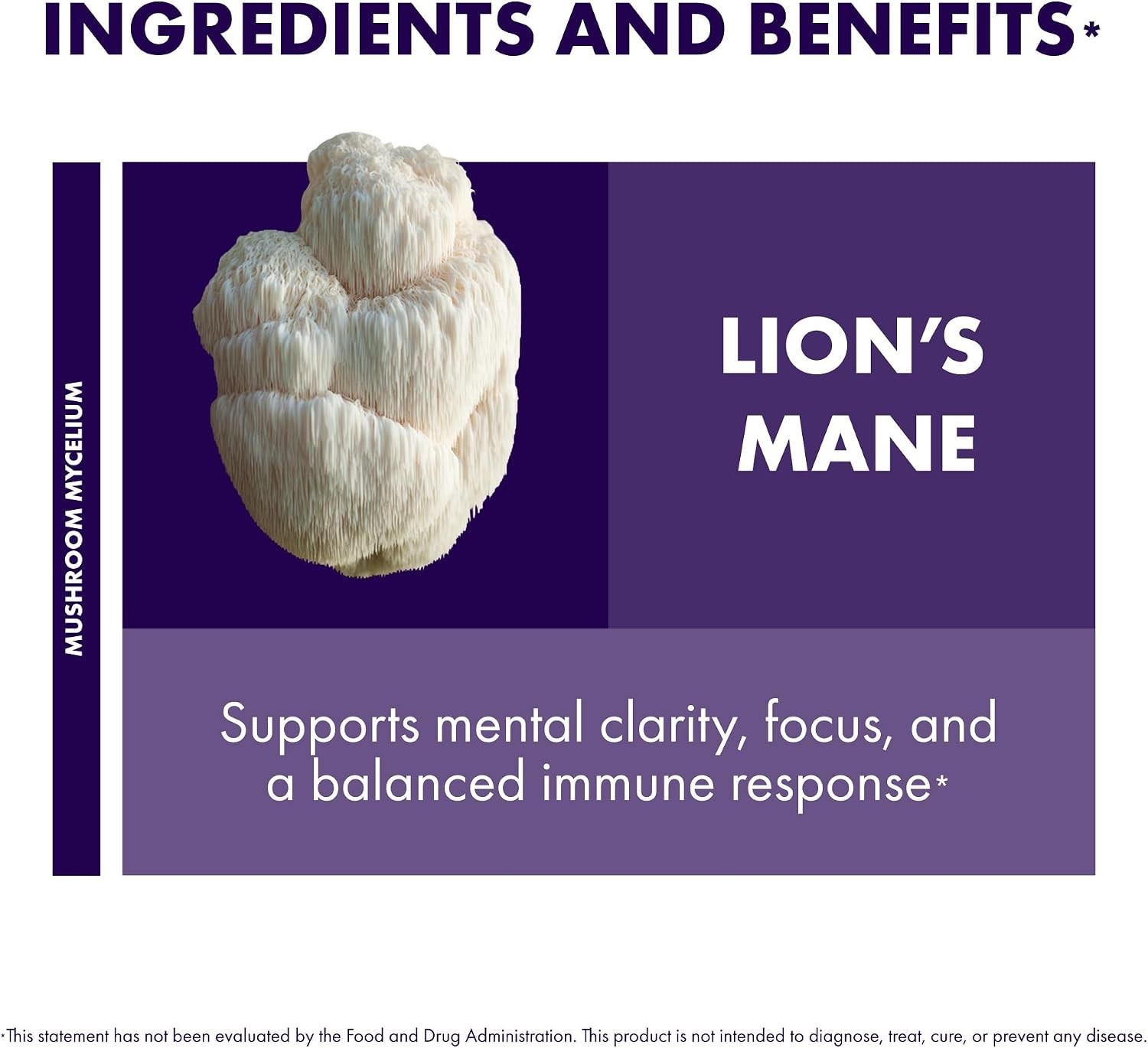 Organic Lion’s Mane Mushroom Capsules 240 Count for Daily Brain Wellness