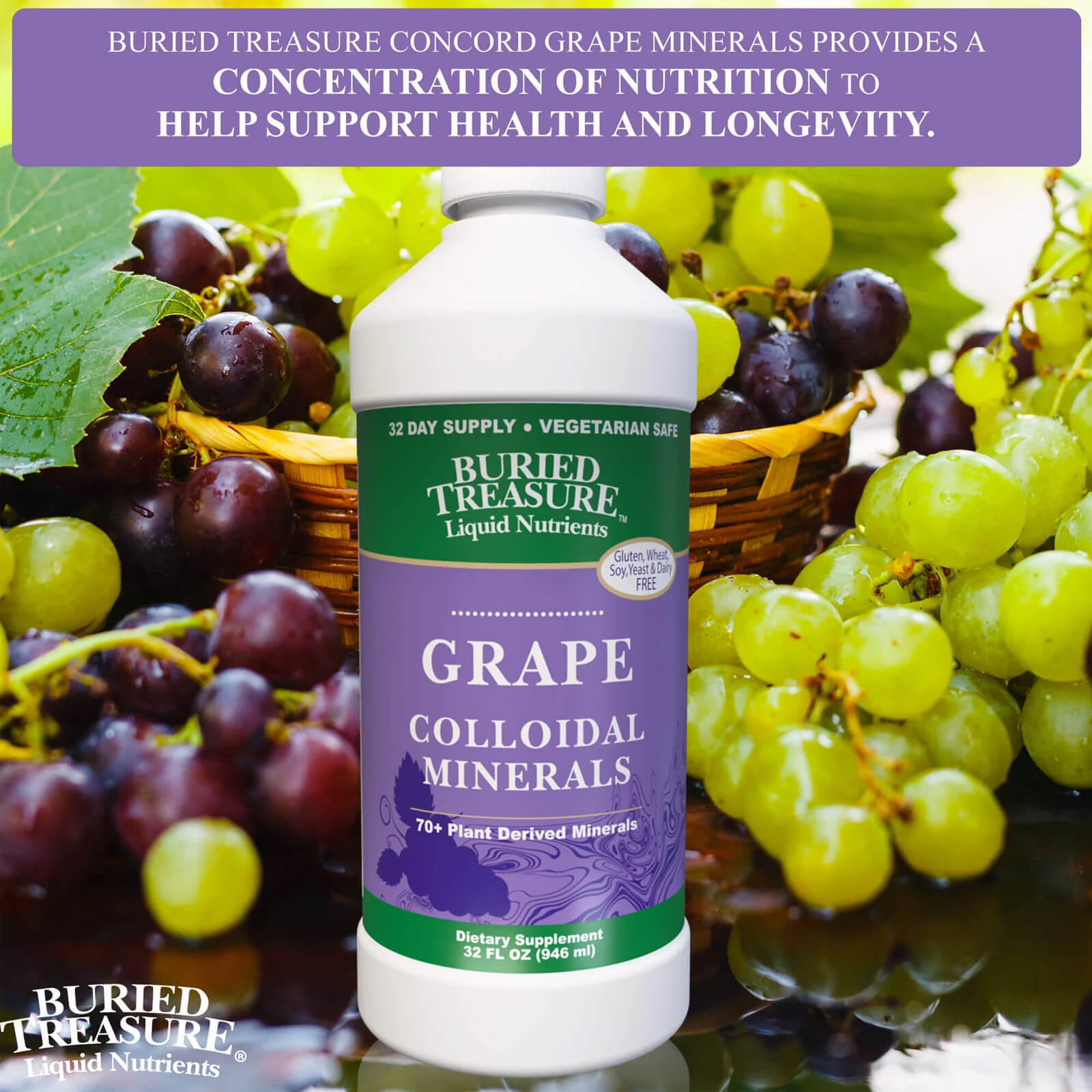 Buried Treasure Concord Grape Minerals 32 fl oz FRESH MADE IN USA
