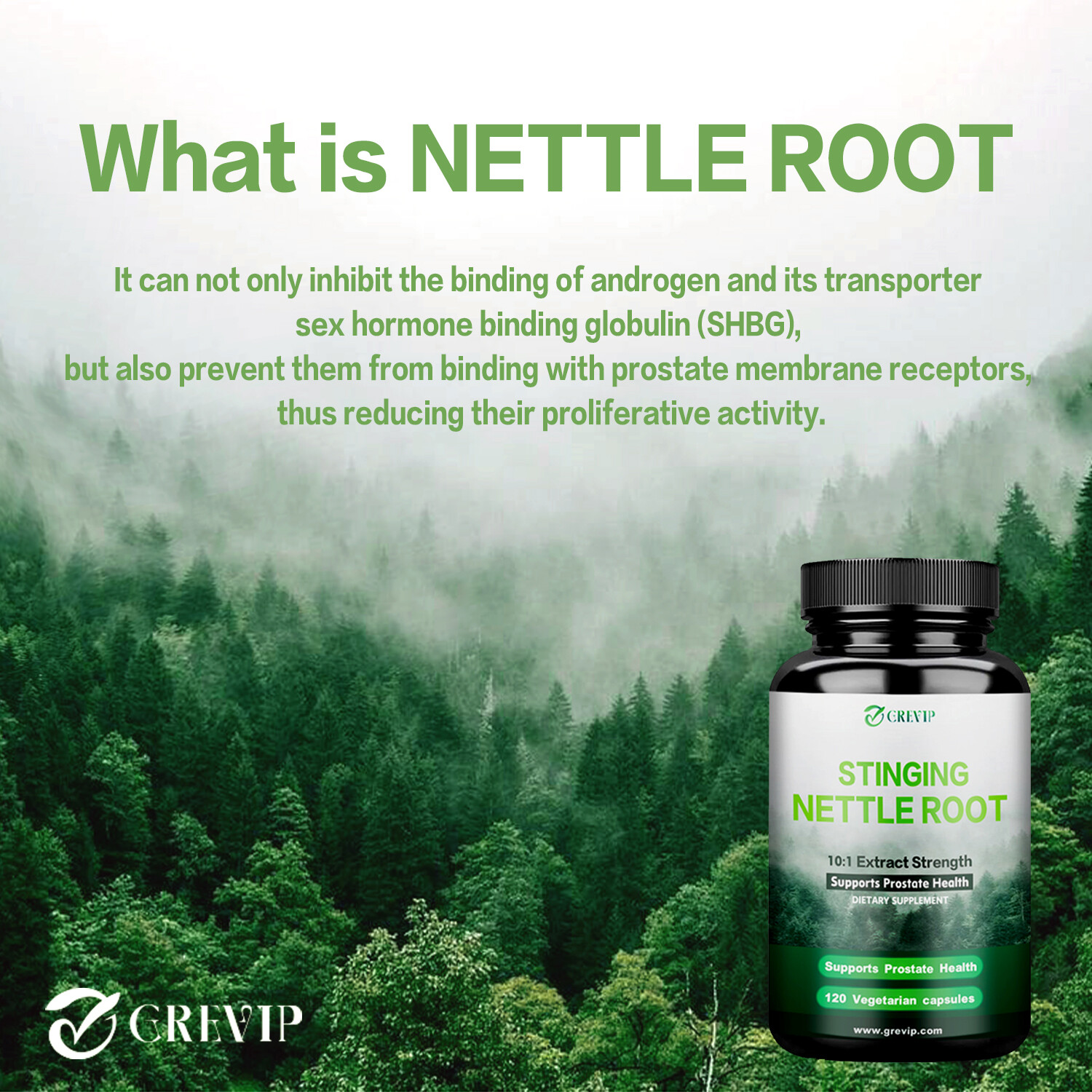 Stinging Nettle Root 750mg – Prostate & Urinary Tract Health, Prevent Hair Loss
