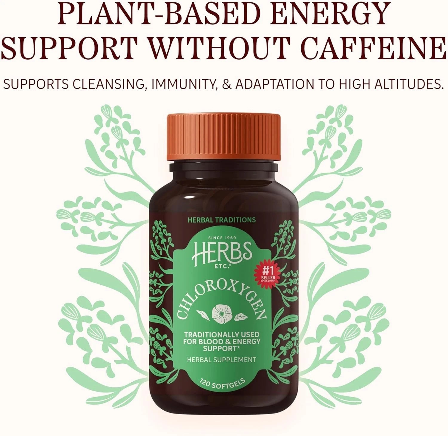 ChlorOxygen Chlorophyll Softgels – High-Potency Detox & Skin Support, 240 Count