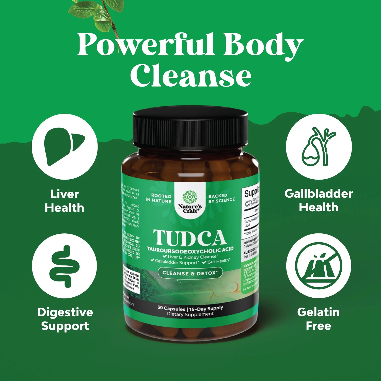 Natures Craft 500mg TUDCA Bile Salt Supplement for Liver and Kidney Support