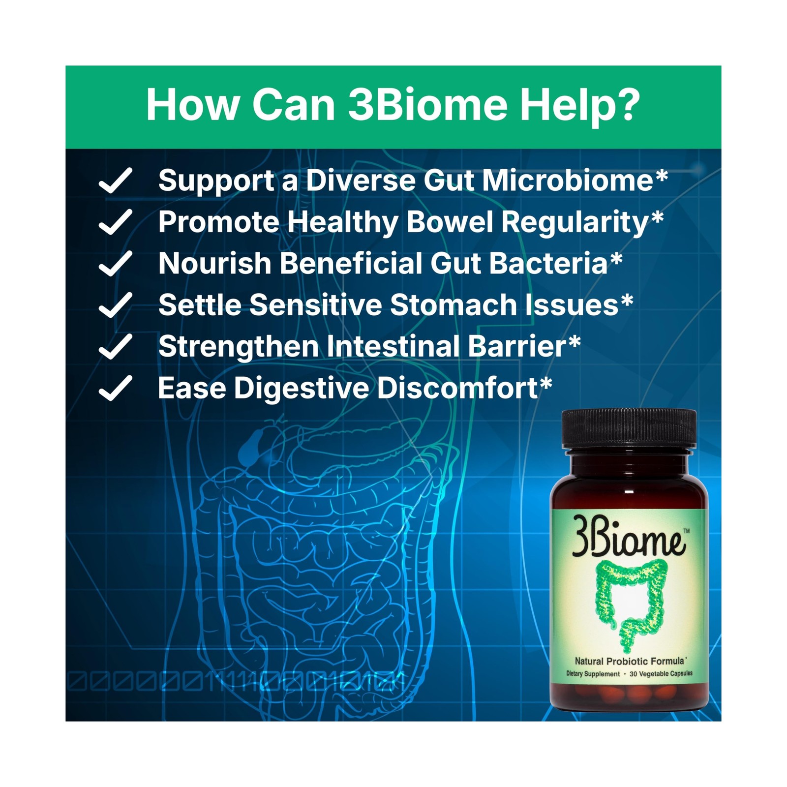 Natural Probiotic Supplement – Non-GMO, Vegan, Gluten-Free 30 Count (Pack of 1)