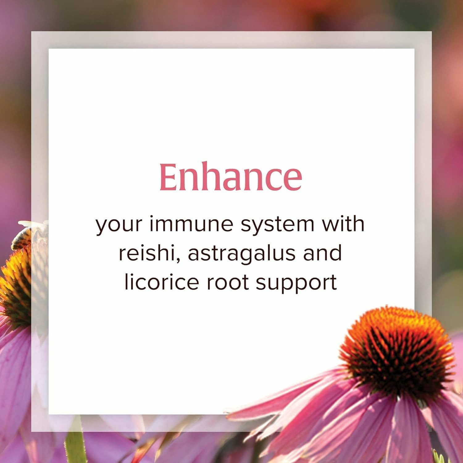 Natural Factors Anti V Liquid Immune Support 3.4 Oz