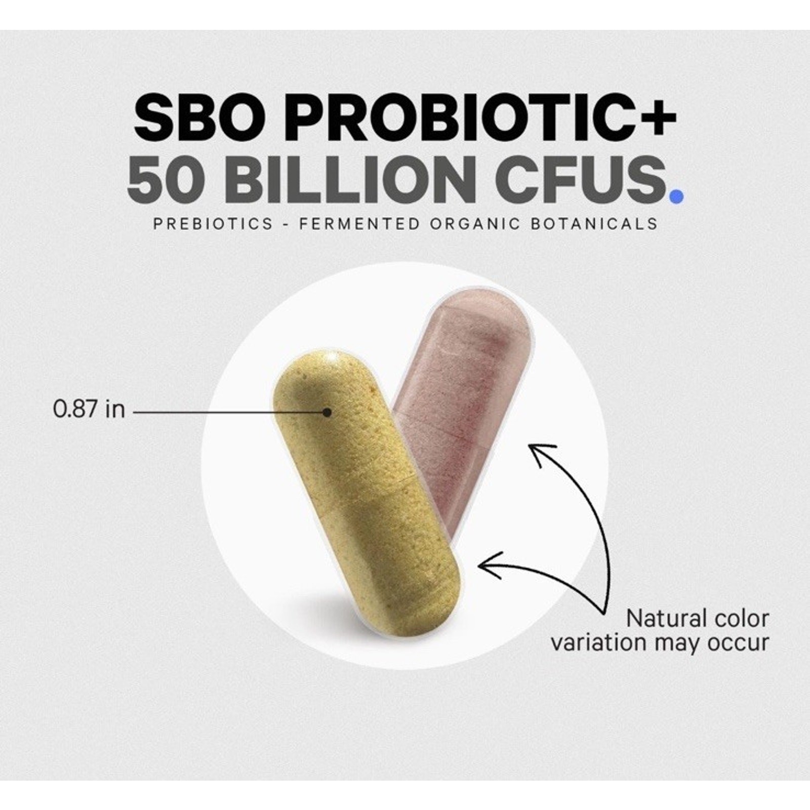 Codeage SBO Probiotics, 50 Billion CFUs Per Serving, Multi Strain Soil Based …