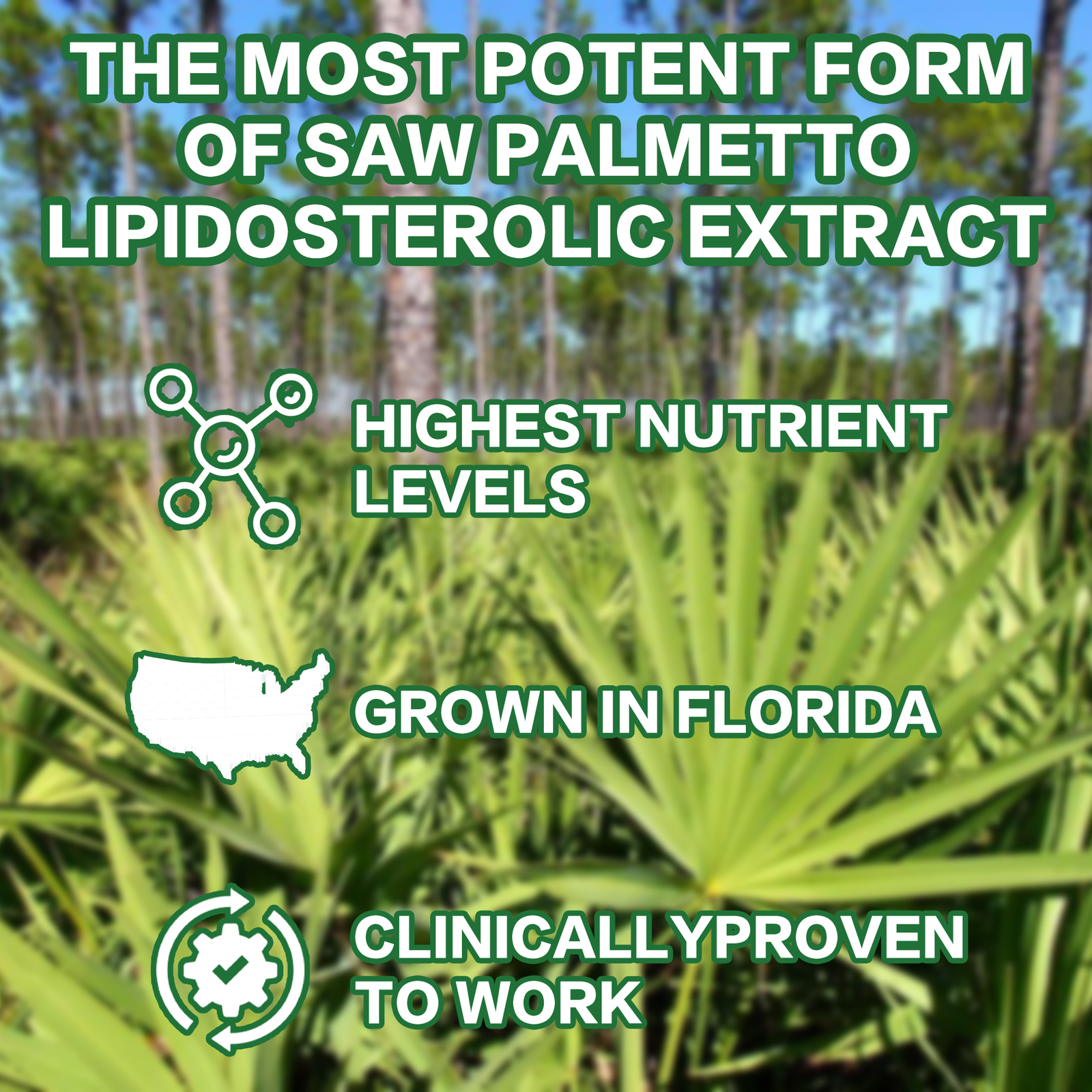 Saw Palmetto 320mg – Bladder Control Supplements To Relieve Frequent Urination