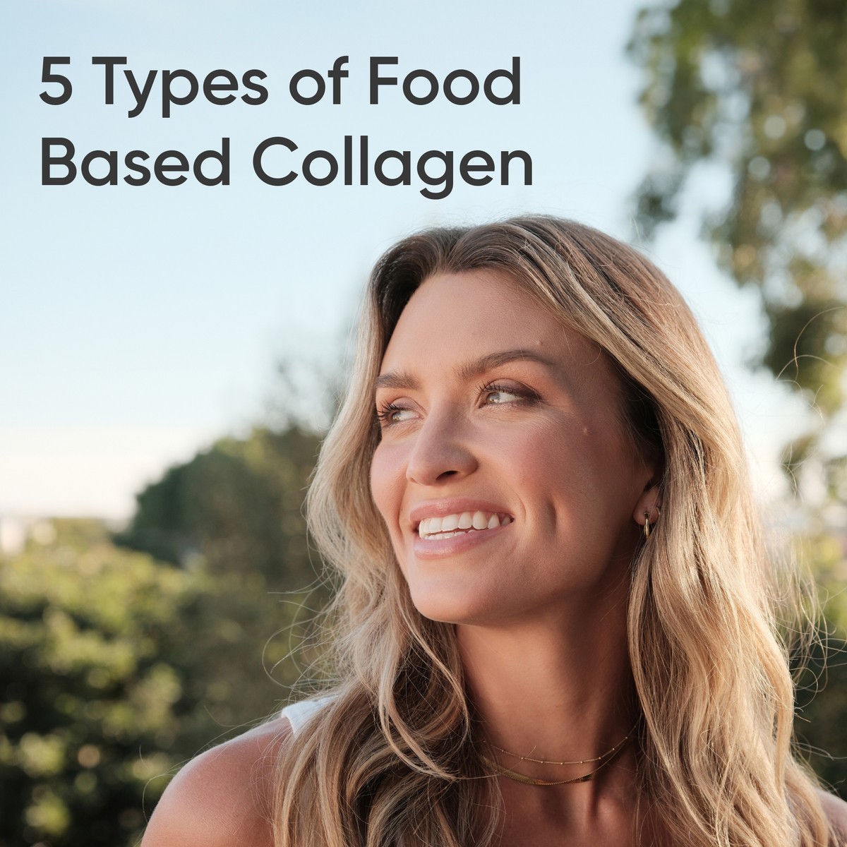 Multi Collagen (Type I, II, III, V, X) + Hyaluronic Acid + Vit. C (90 Capsules)