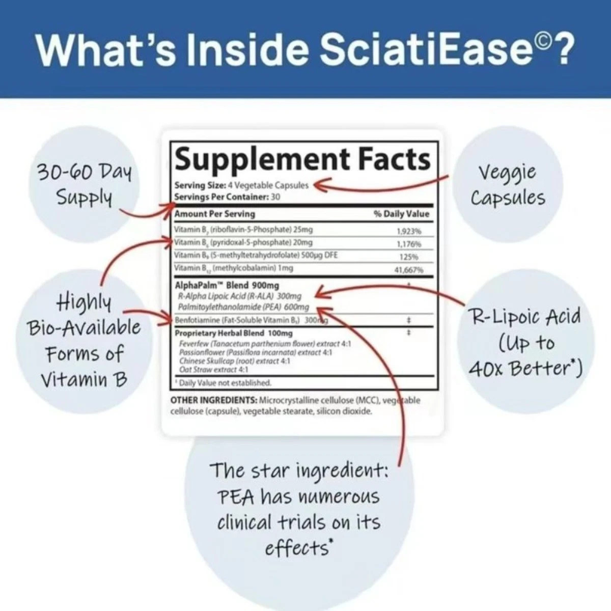 Sciatic Supplement & Nerve Support Pain Nerve 120 for Relief Health, Capsules