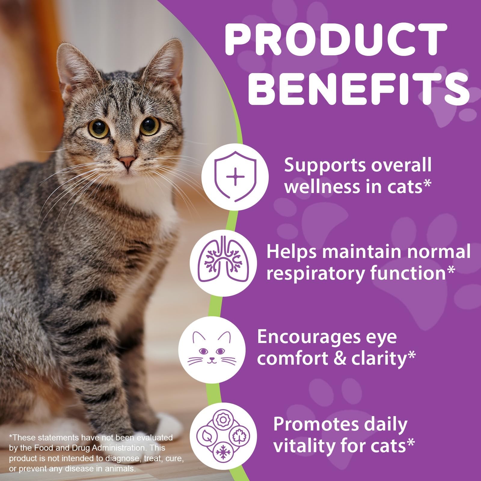 Cat L-Lysine Liquid 2oz Immune Respiratory Skin Coat Eyes | Lisina Gatos