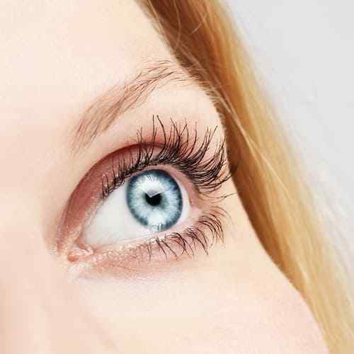 eye health – Eye Vision Guard 24mg – eye health 2 Bottles