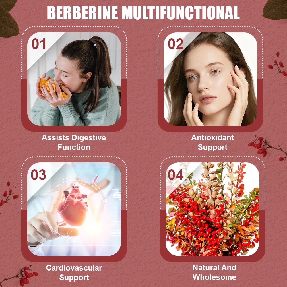 120 Premium Berberine HCL High Potency Anti-inflammatory,Blood Sugar Support