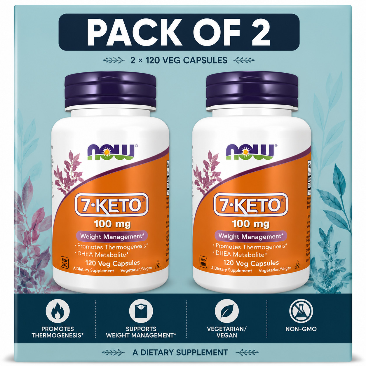 NOW Foods 7-Keto 100 mg 120 Veg Capsules Pack of 2