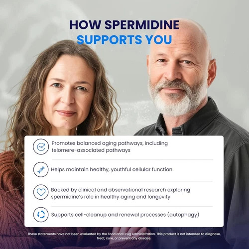 Spermidine Supplements for Longevity – 100x Formula, 5 mg, Vegan, 120 Servings
