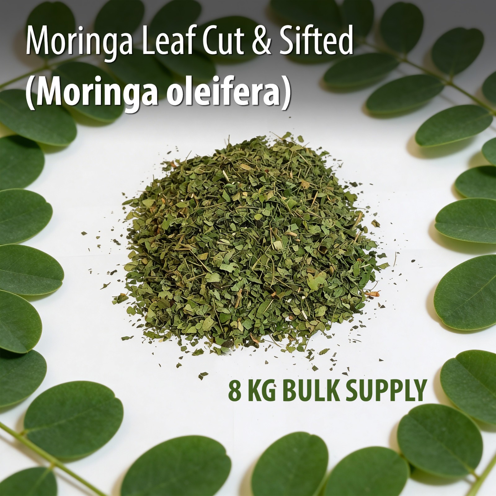 Moringa Leaves Organic Dried Cut & Sifted 8KG Bulk Moringa Oleifera Wholesale