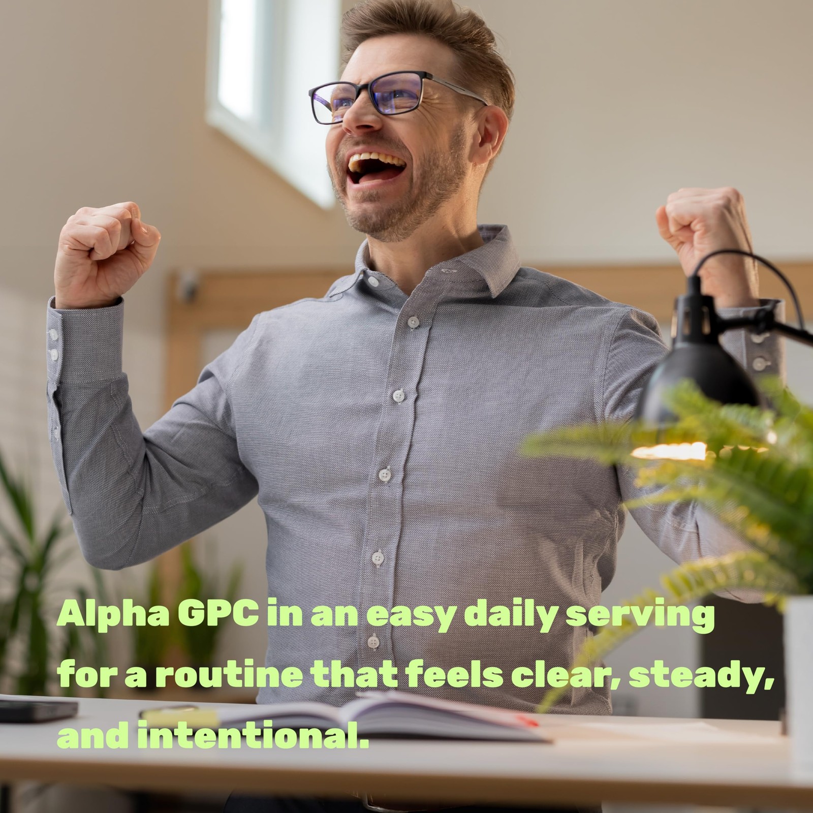 DEAL SUPPLEMENT Alpha GPC 600 mg Per Serving, 240 240 Count (Pack of 1)