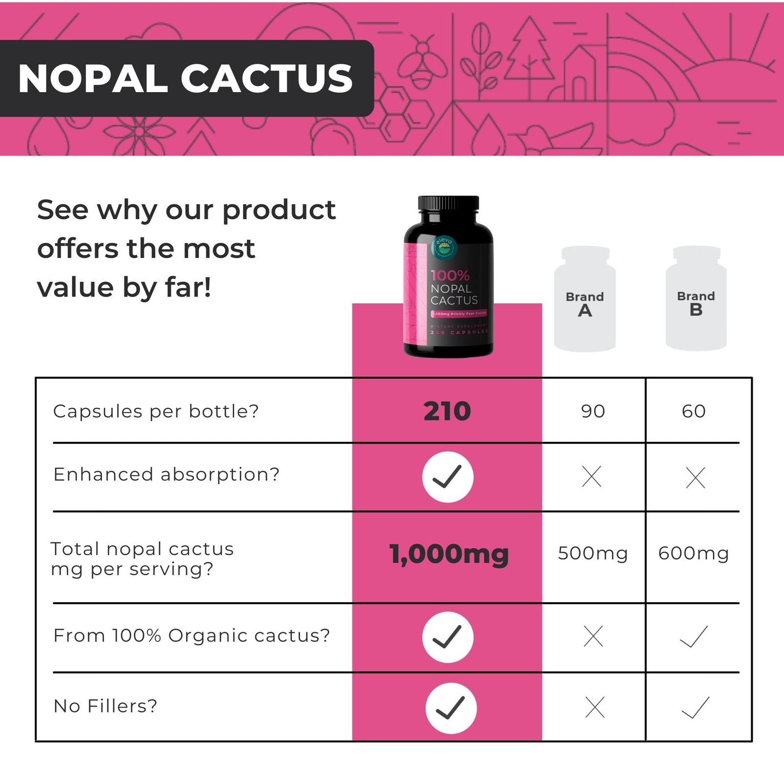 Nopal Cactus Capsules 1500mg- Organic Sun-Dried Prickly 240 Count (Pack of 1)