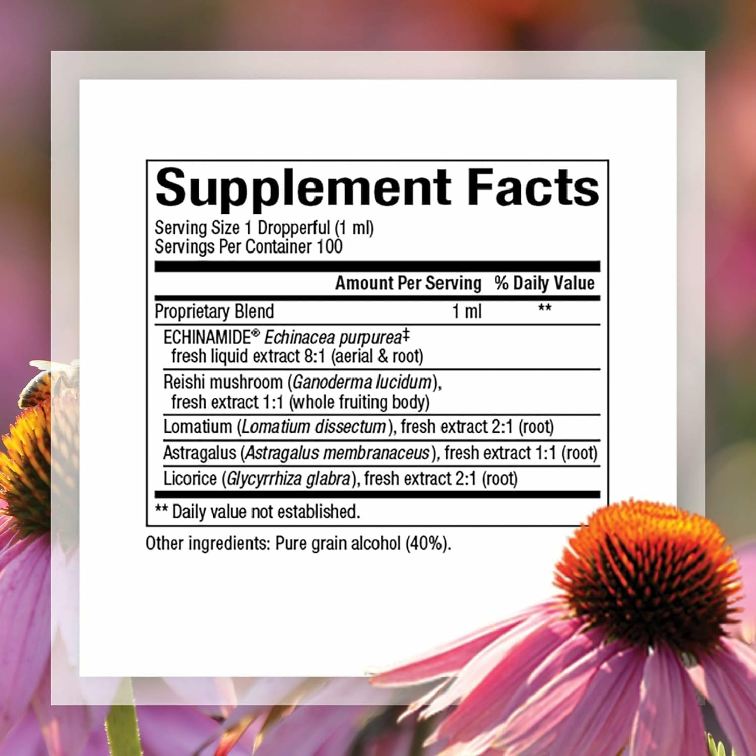 Natural Factors Anti V Liquid Immune Support 3.4 Oz