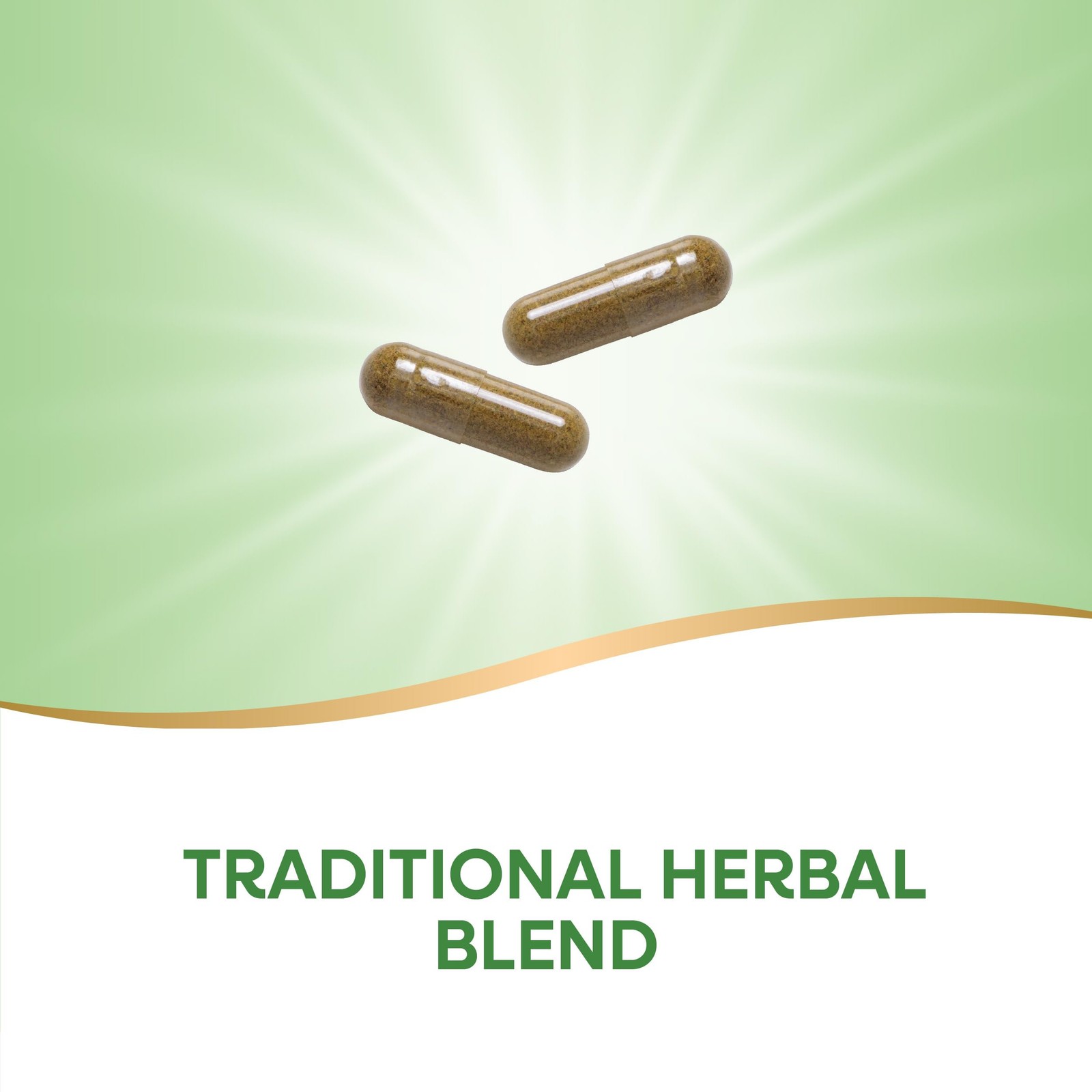 Nature’s Way Kidney Bladder Premium Blend, 900 mg per 100 Count (Pack of 1)