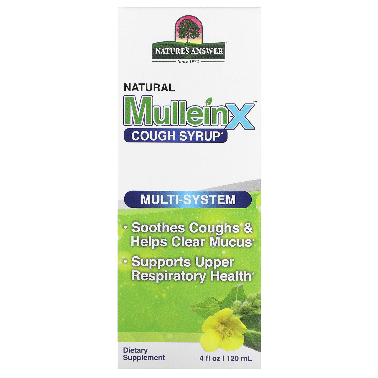 Natural Mullen-X Cough Syrup, Multi-System, 4 fl oz (120 ml)