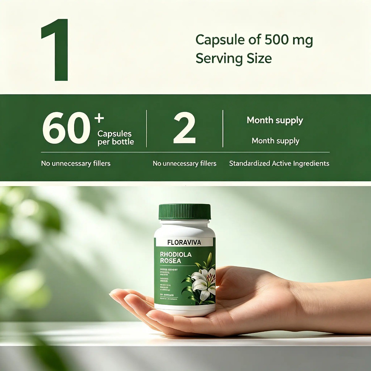 Floraviva Rhodiola Rosea Capsules Stress Relief Focus Energy Mood Immune Support