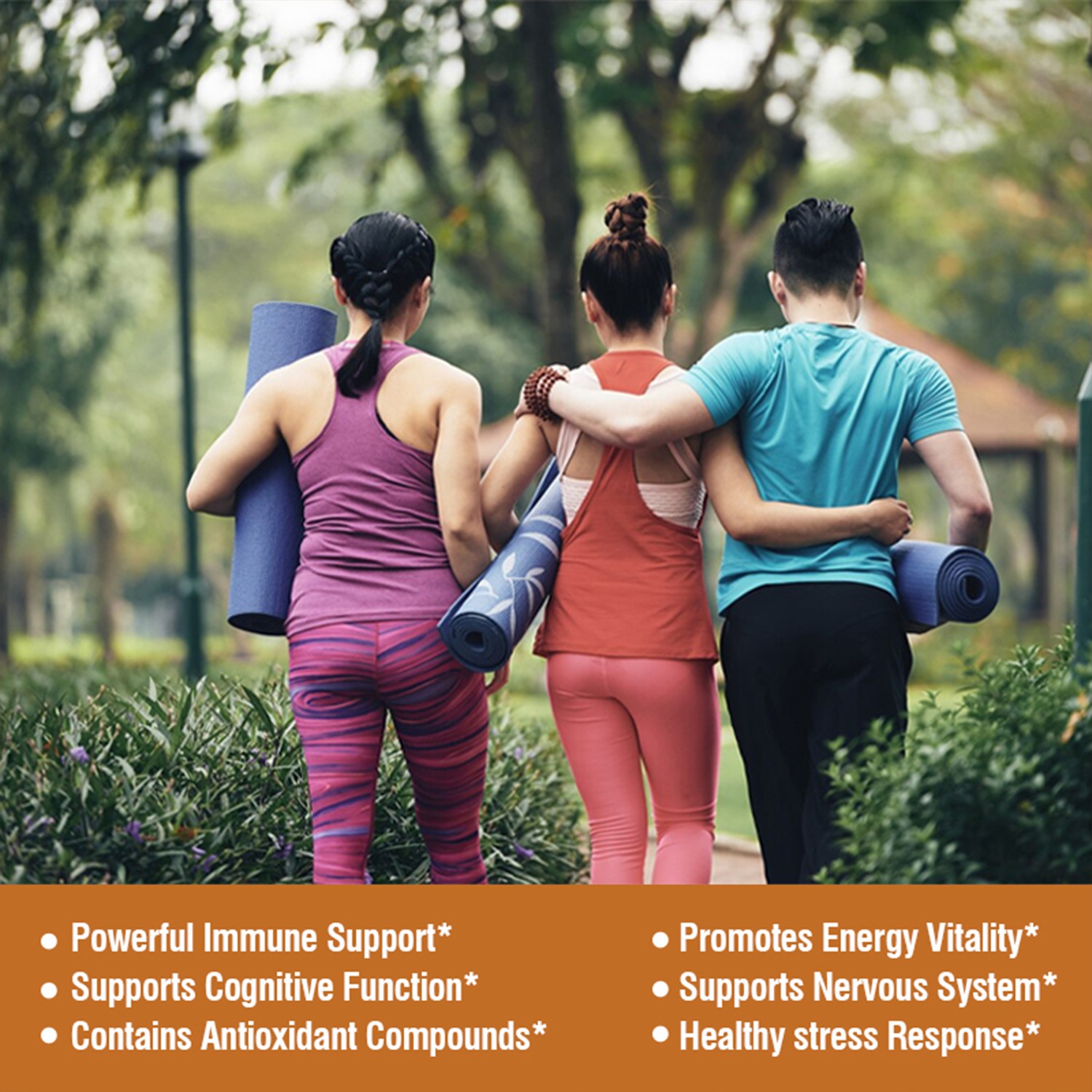 Mushroom Complex – Lions Mane,Cordyceps Sinensis – Brain & Nervous System Health