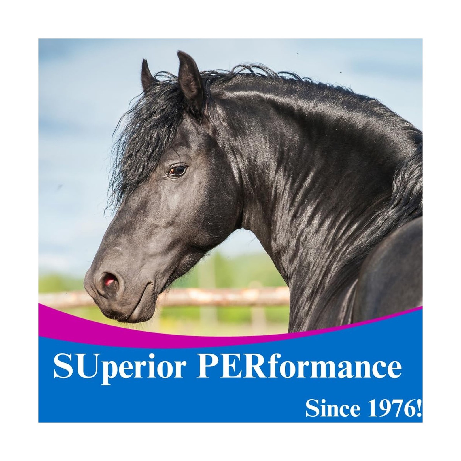 SU-PER MSM Ultra Pure Horse Joint Supplement – Helps Maintain Joint Mobility …