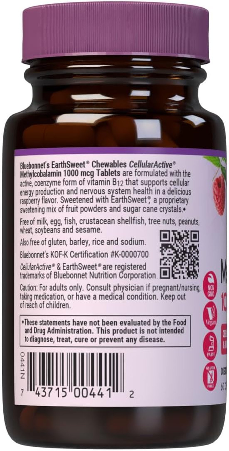 Earthsweet Methylcobalamin Chewable Tablets, Natural Raspberry, 60 C