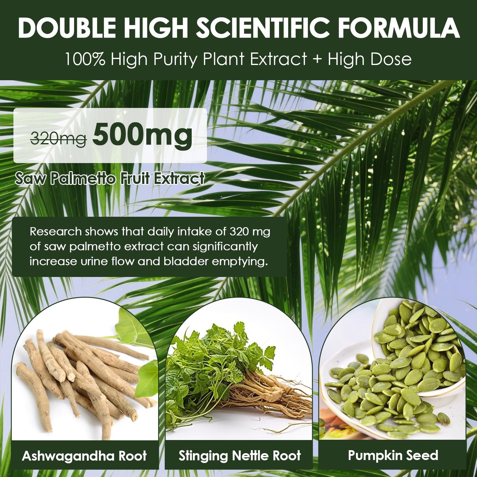2-Pack Organic Saw Palmetto Prostate Health Supplements with Ashwagandha & DHT B